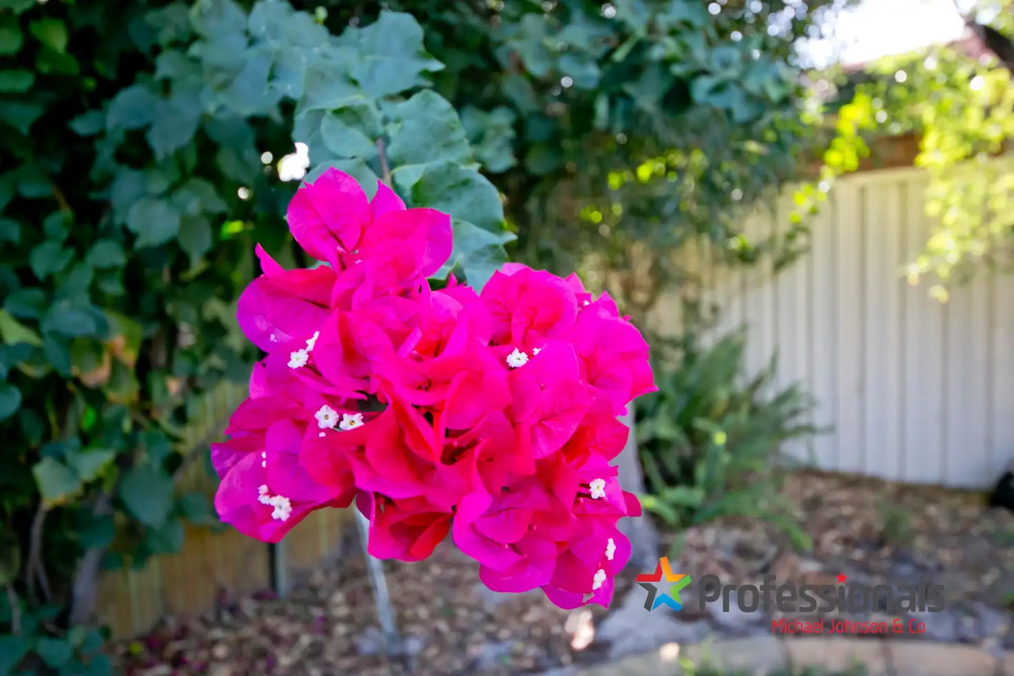 Main view of Homely house listing, 5 Steven Street, Morley WA 6062