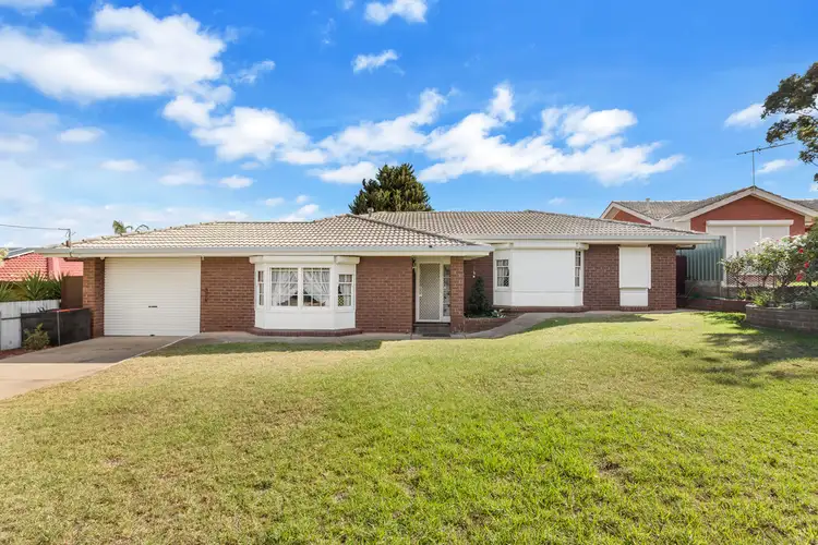 19 Suzanne Avenue, Morphett Vale SA 5162