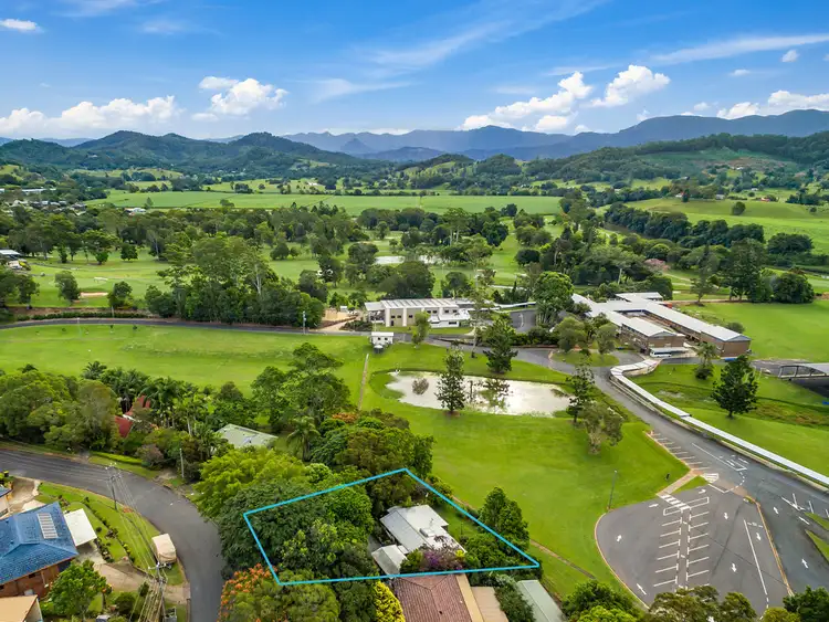 Sixth view of Homely house listing, 41 Hall Drive, Murwillumbah NSW 2484
