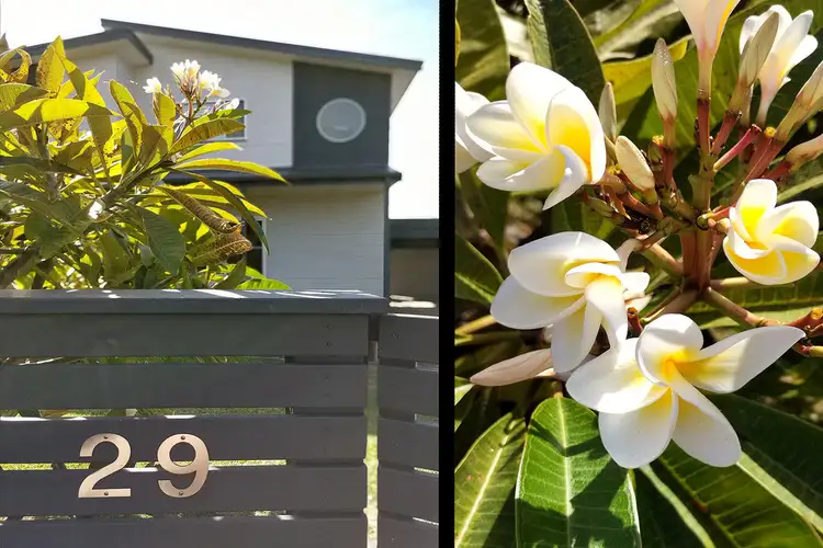 Sixth view of Homely house listing, 29 Anembo Crescent, Kiama Heights NSW 2533