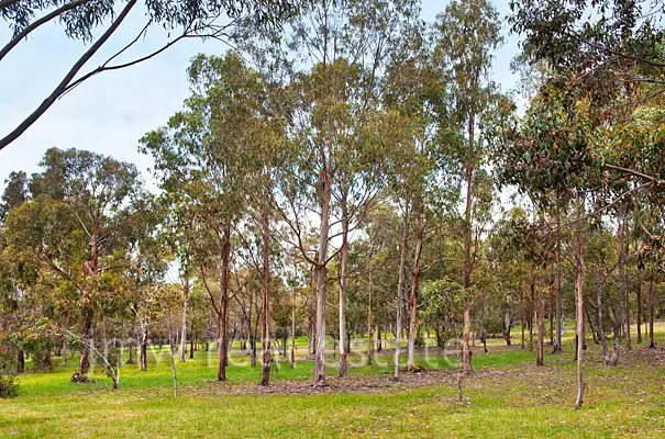 Lot 20 Cornerstone Way - Biddles Common, Dunsborough WA 6281