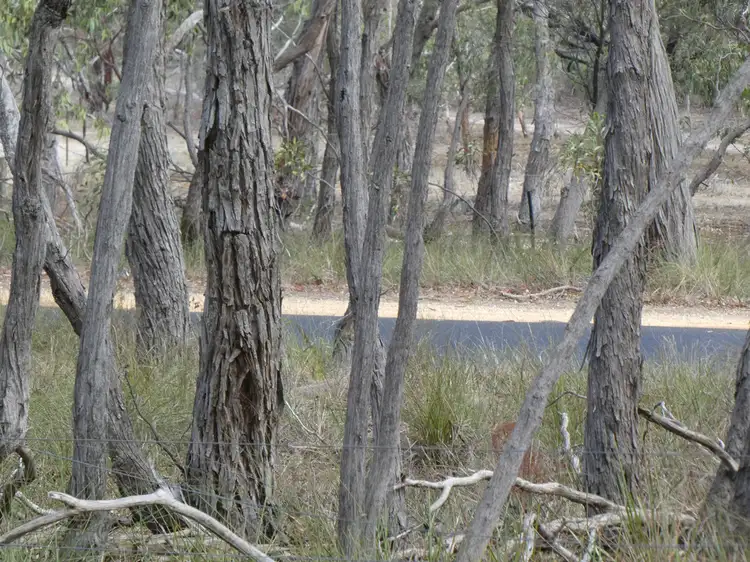 Lot 2 Derwent Jacks Road, Berringa VIC 3351