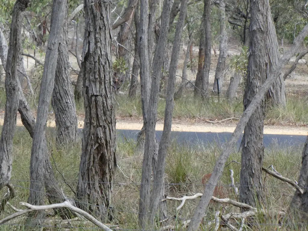Main view of Homely rural property listing, Lot 2 Derwent Jacks Road, Berringa VIC 3351