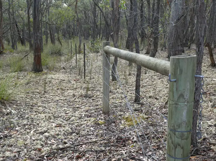 Fifth view of Homely rural property listing, Lot 2 Derwent Jacks Road, Berringa VIC 3351