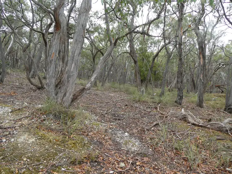 Seventh view of Homely rural property listing, Lot 2 Derwent Jacks Road, Berringa VIC 3351