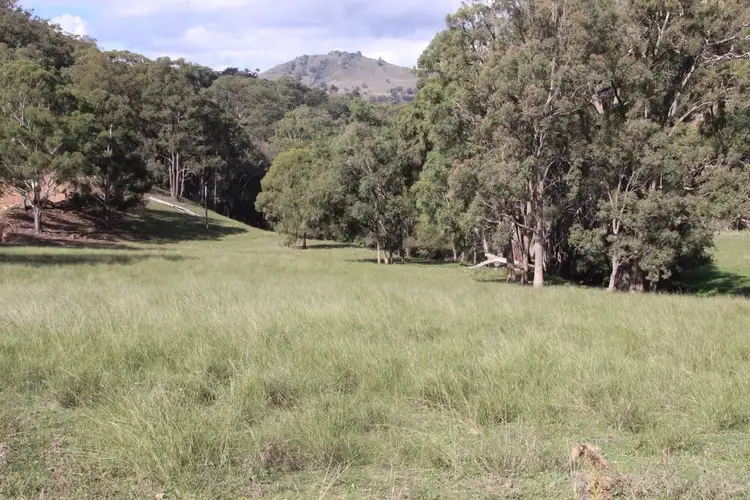 Main view of Homely rural property listing, 640 Chilcotts Creek Road "The Basins", Willow Tree NSW 2339