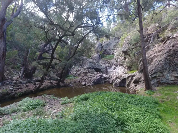 Third view of Homely rural property listing, 640 Chilcotts Creek Road "The Basins", Willow Tree NSW 2339