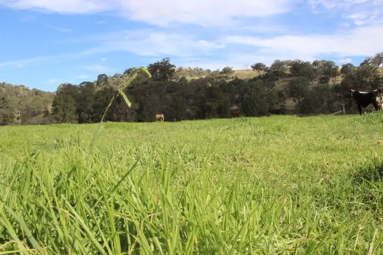 Sixth view of Homely rural property listing, 640 Chilcotts Creek Road "The Basins", Willow Tree NSW 2339