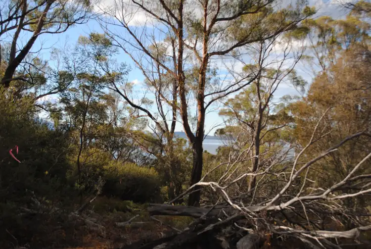 Seventh view of Homely land listing, 295 Wallaroo Road, Coles Bay TAS 7215