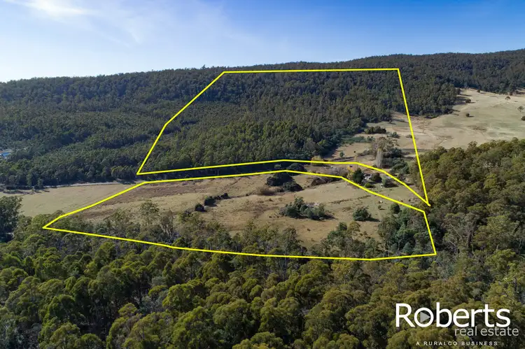 Main view of Homely house listing, 790 Bogan Road, Quamby Brook TAS 7304