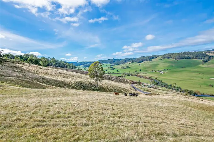 Third view of Homely rural property listing, 1689 South Riana Road, Gunns Plains TAS 7315