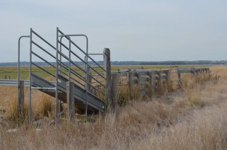 Third view of Homely rural property listing, Lot 2 & 4 Moyhall Road, Naracoorte SA 5271