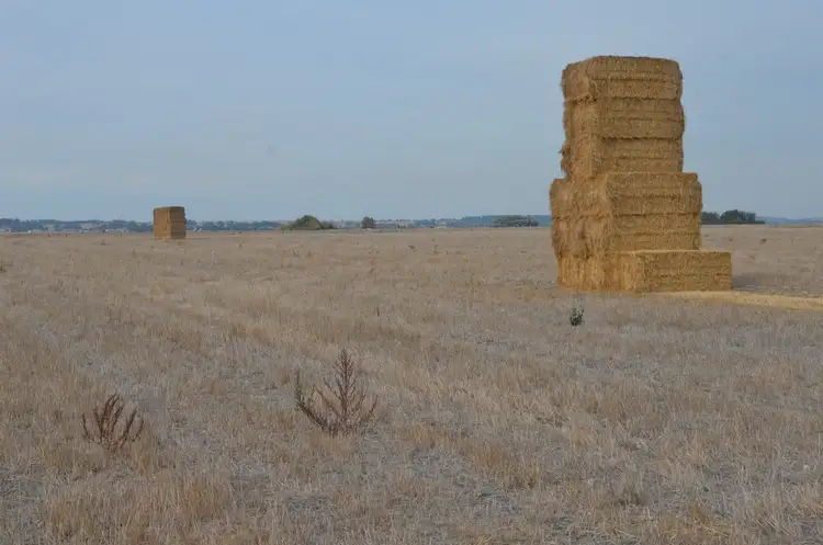 Fifth view of Homely rural property listing, Lot 2 & 4 Moyhall Road, Naracoorte SA 5271