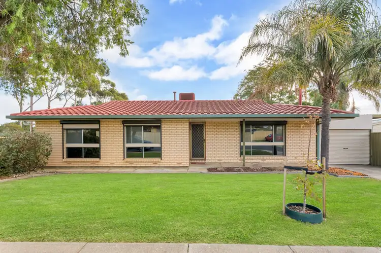 Main view of Homely house listing, 17 McCartney Street, Morphett Vale SA 5162
