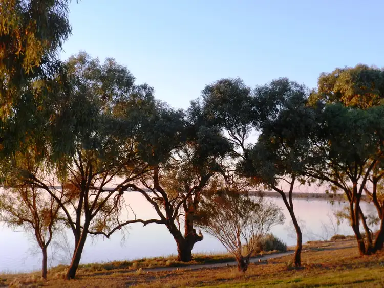 Second view of Homely land listing, 7 Manallack Court, Barmera SA 5345