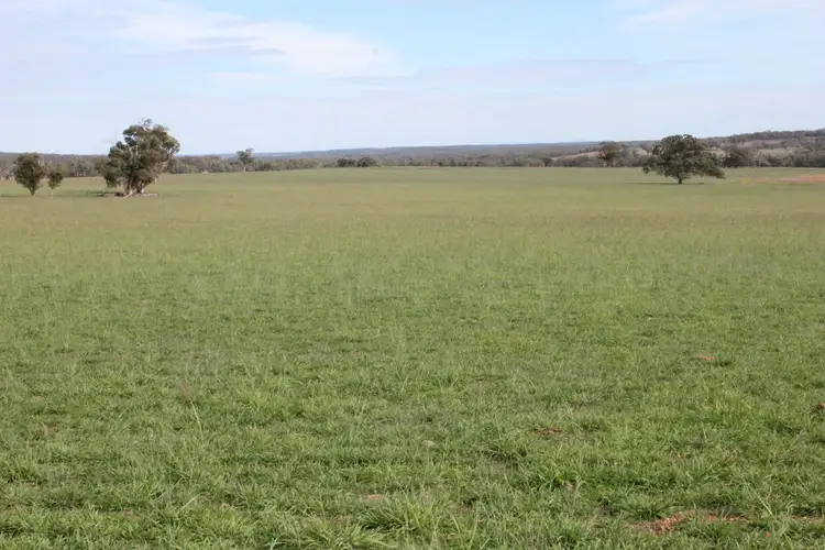 Second view of Homely rural property listing, 1004 Boltons Creek rd, Weetaliba NSW 2395