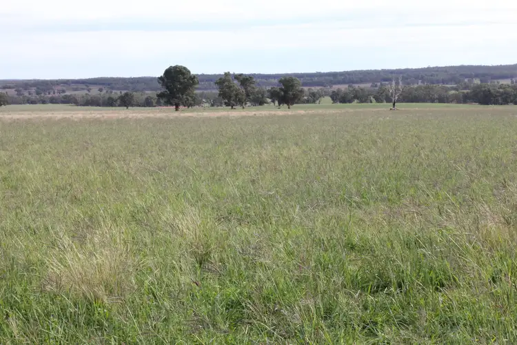 Third view of Homely rural property listing, 1004 Boltons Creek rd, Weetaliba NSW 2395