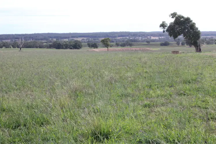 Fourth view of Homely rural property listing, 1004 Boltons Creek rd, Weetaliba NSW 2395