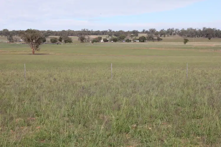Sixth view of Homely rural property listing, 1004 Boltons Creek rd, Weetaliba NSW 2395