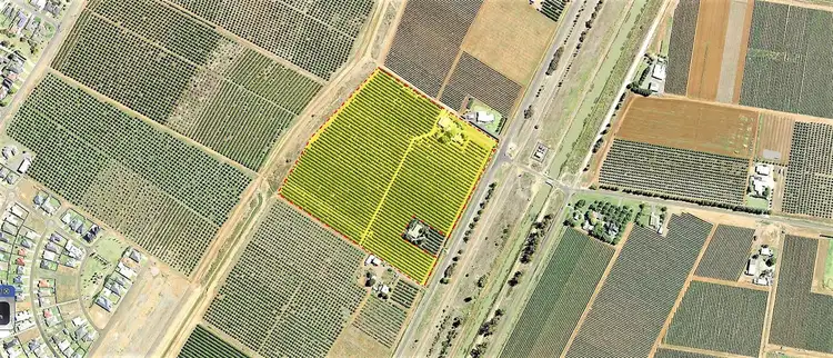 Main view of Homely rural property listing, Farm 1685 Rankins Springs Road, Griffith NSW 2680