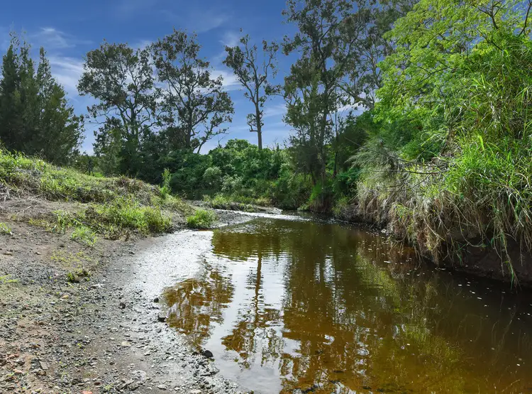 Second view of Homely house listing, 156 Gowrie Birnam Road, Gowrie Junction QLD 4352