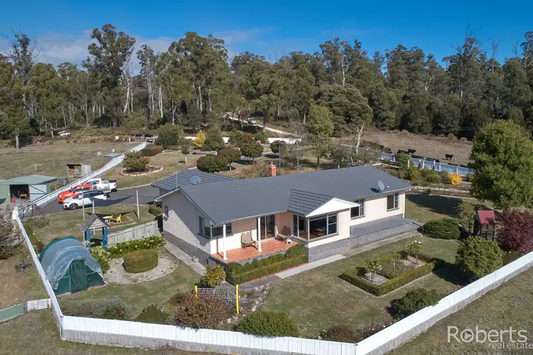480 Jensens Road, Scottsdale TAS 7260