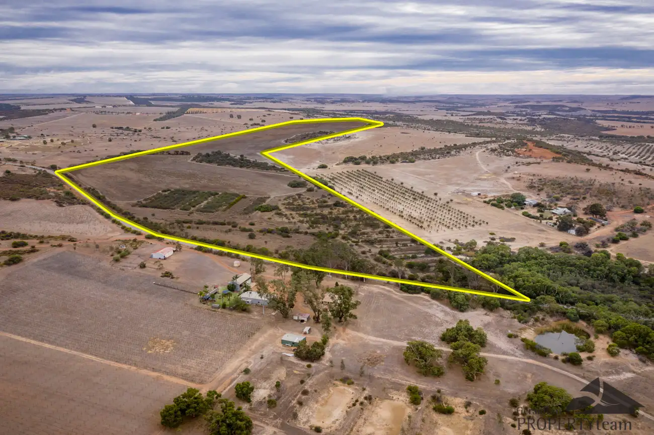 Main view of Homely rural property listing, Lot 341 Nanson-Howatharra Road, Nanson WA 6532