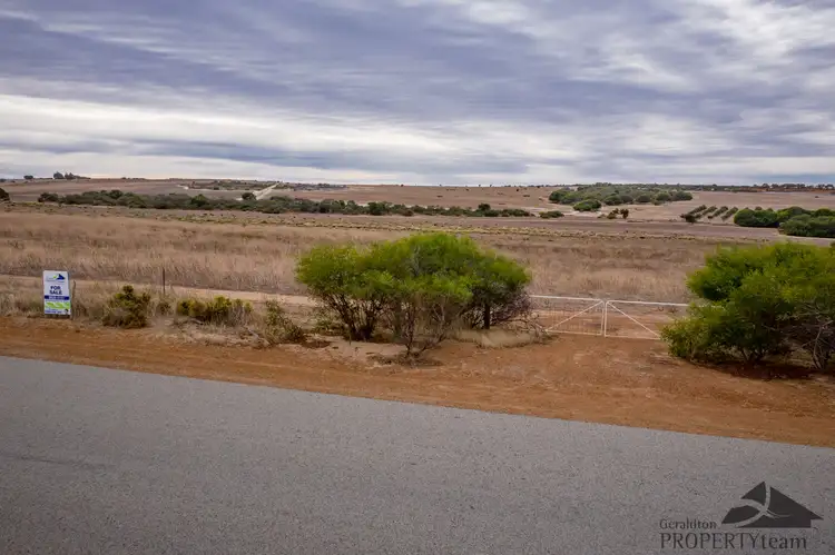 Seventh view of Homely rural property listing, Lot 341 Nanson-Howatharra Road, Nanson WA 6532