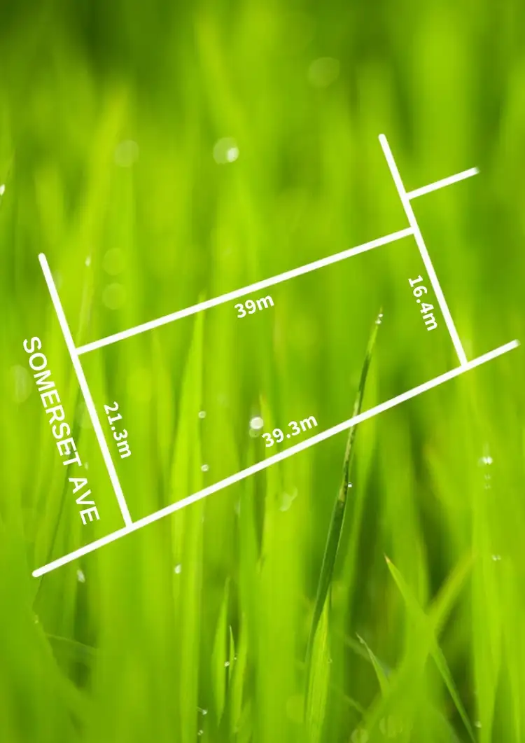 Second view of Homely house listing, 17 Somerset Ave, Fulham Gardens SA 5024