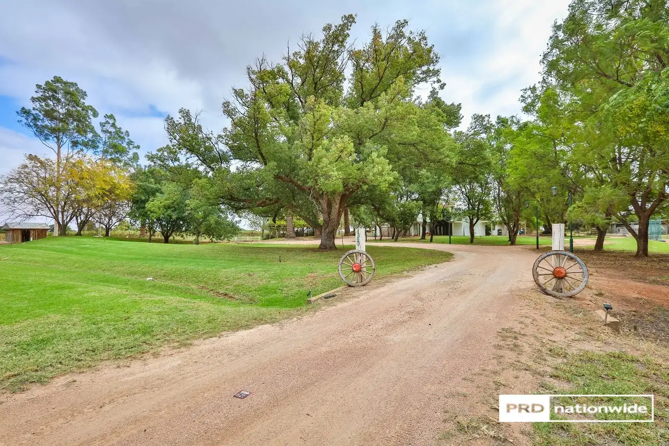 Main view of Homely house listing, 228 Myall Street, Cardross VIC 3496