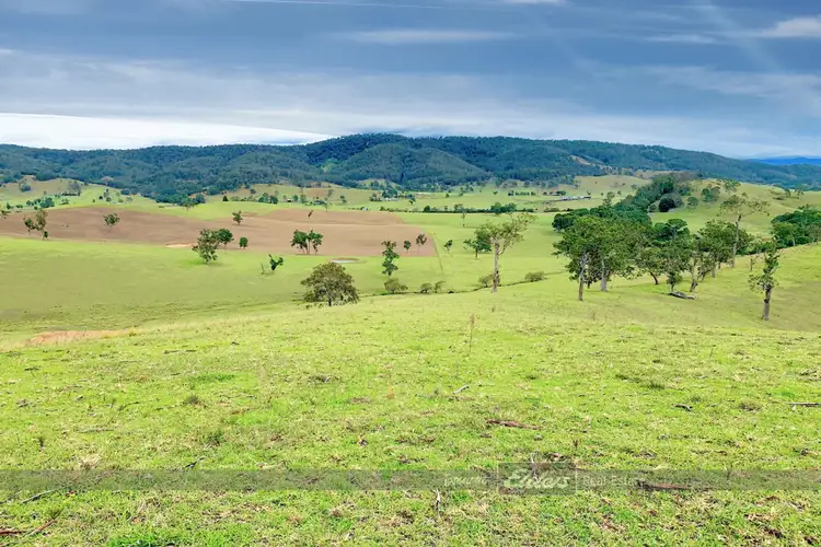 Third view of Homely rural property listing, 1691 Waukivory Road 'Ivory Downs', Gloucester NSW 2422