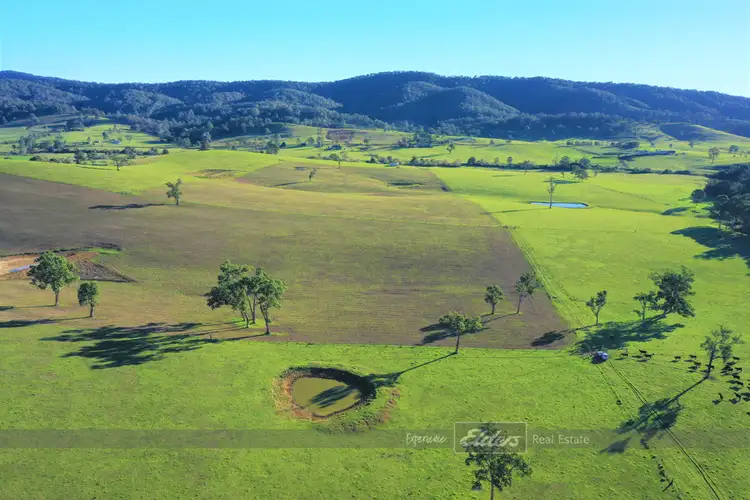 Fourth view of Homely rural property listing, 1691 Waukivory Road 'Ivory Downs', Gloucester NSW 2422