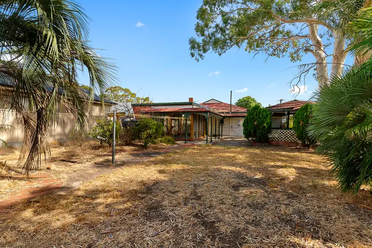 Second view of Homely house listing, 11 Clifford Avenue, Kurralta Park SA 5037
