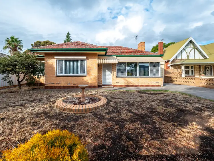 19 Ray St, South Plympton SA 5038