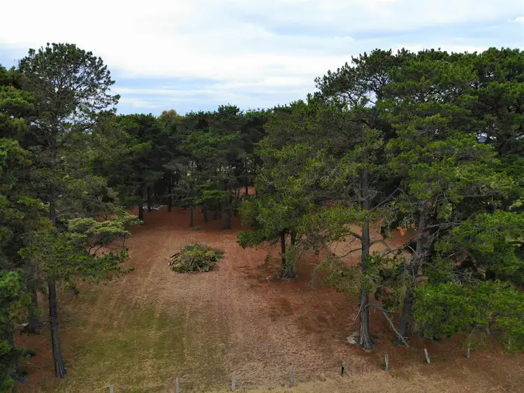 Third view of Homely rural property listing, Woranga School Road, Yarram VIC 3971