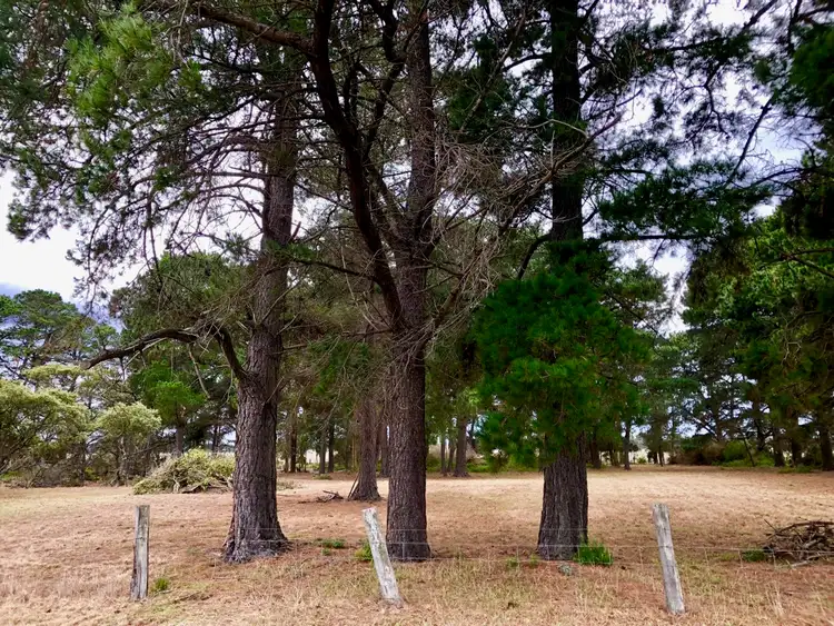 Fourth view of Homely rural property listing, Woranga School Road, Yarram VIC 3971