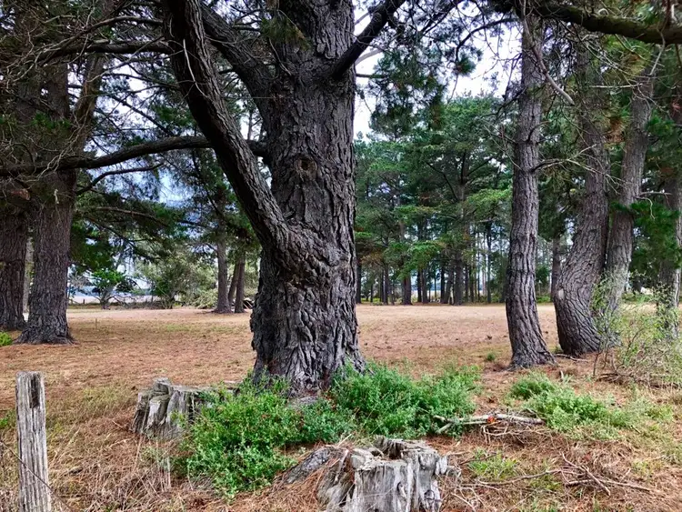 Fifth view of Homely rural property listing, Woranga School Road, Yarram VIC 3971