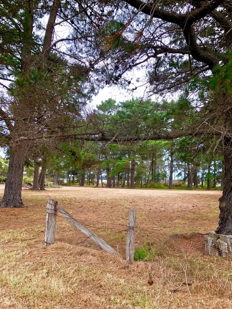 Sixth view of Homely rural property listing, Woranga School Road, Yarram VIC 3971