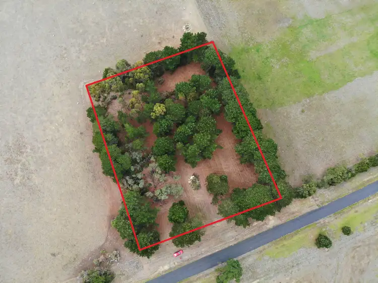 Seventh view of Homely rural property listing, Woranga School Road, Yarram VIC 3971