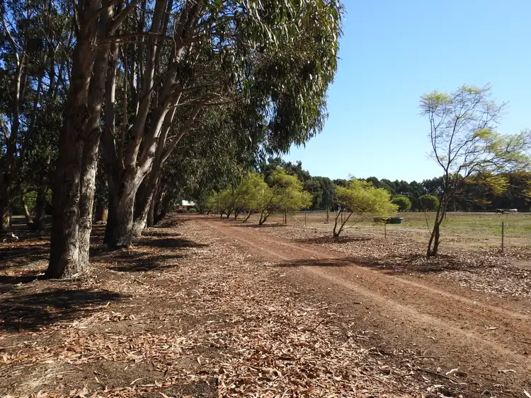 Second view of Homely rural property listing, 55 Carpenter Road, Wilyabrup WA 6280