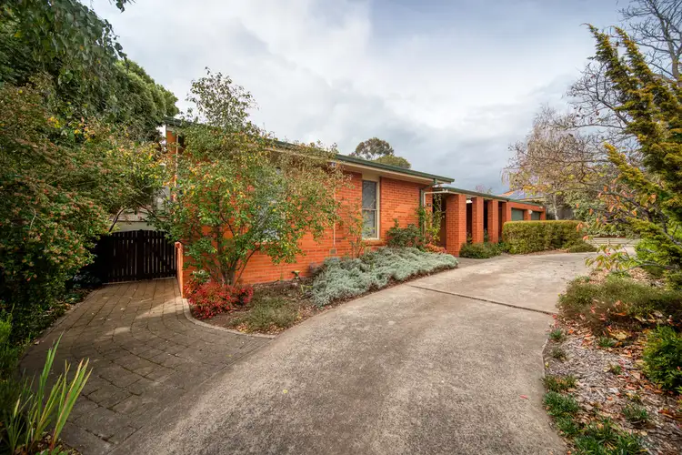 Fifth view of Homely house listing, 59 Debenham Street, Mawson ACT 2607