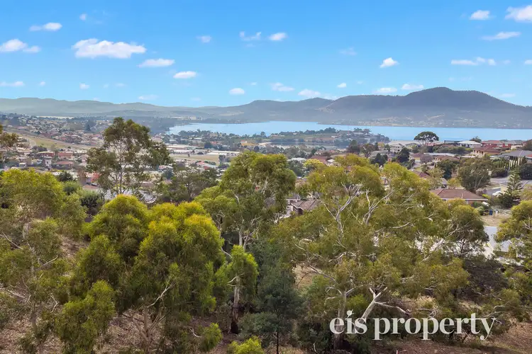 Main view of Homely land listing, 20 Nathan Street - Land Subdivision, Berriedale TAS 7011