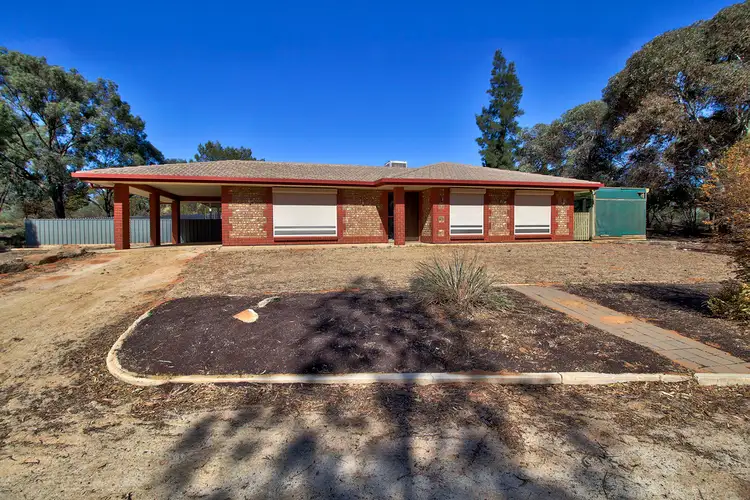 327 Dalziel Road, Barmera SA 5345