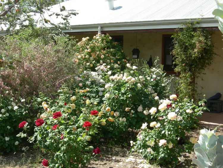 Seventh view of Homely rural property listing, 3460 Great Southern Highway, St Ronans WA 6302