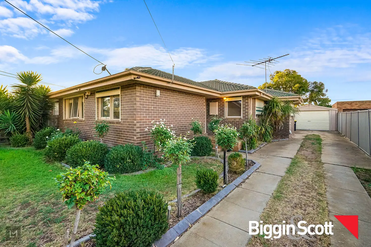 Main view of Homely house listing, 16 Cassia Road, Melton VIC 3337
