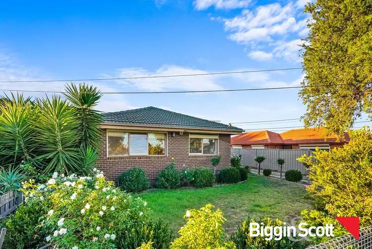 Second view of Homely house listing, 16 Cassia Road, Melton VIC 3337