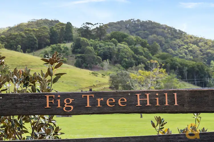 Second view of Homely rural property listing, 803 Cudgera Creek Road, Cudgera Creek NSW 2484