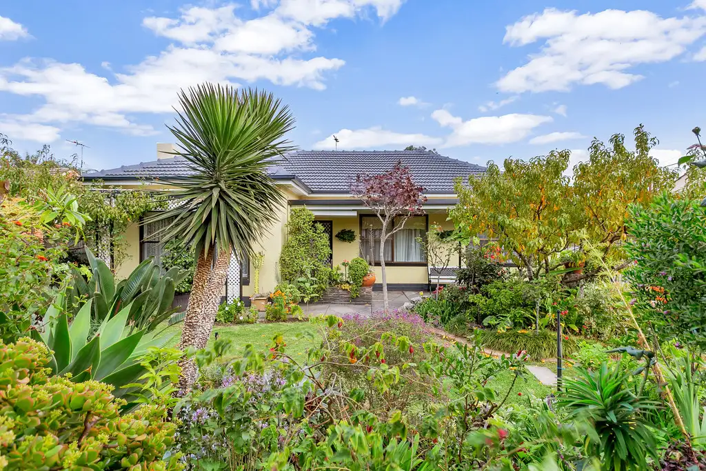 Main view of Homely house listing, 29 Wilson Street, Plympton Park SA 5038
