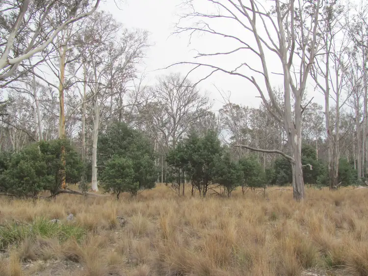 Third view of Homely rural property listing, "Trap Hut" Meadsfield Road, Bothwell TAS 7030