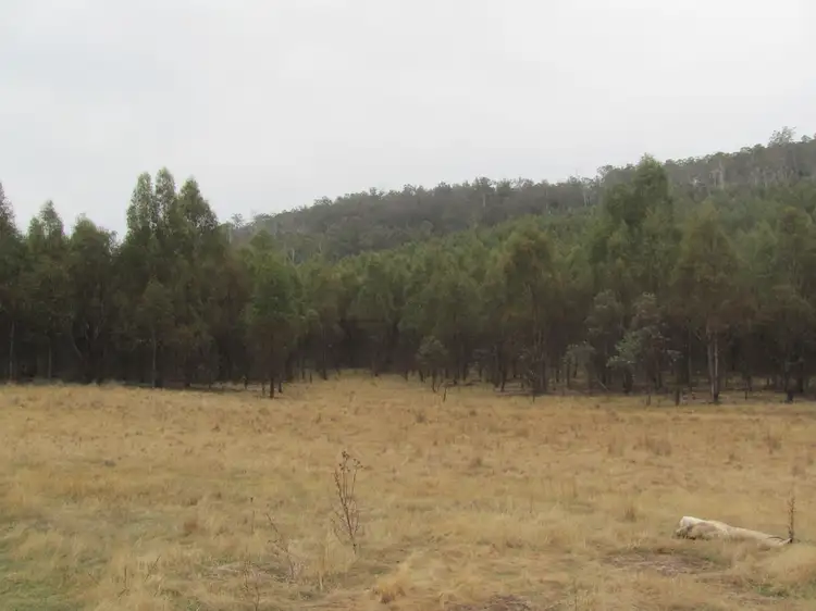 Sixth view of Homely rural property listing, "Trap Hut" Meadsfield Road, Bothwell TAS 7030